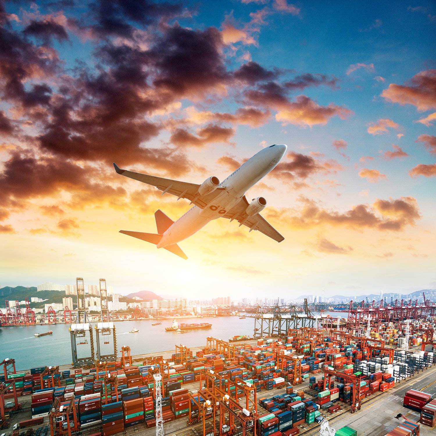 Jolex Freight Services