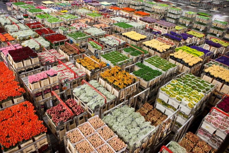Perishables